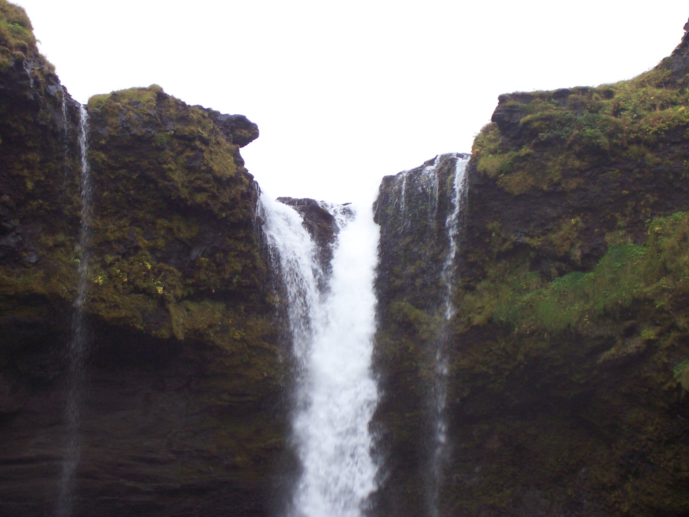 100_1051